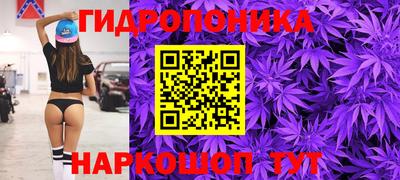 амф Рыбинск