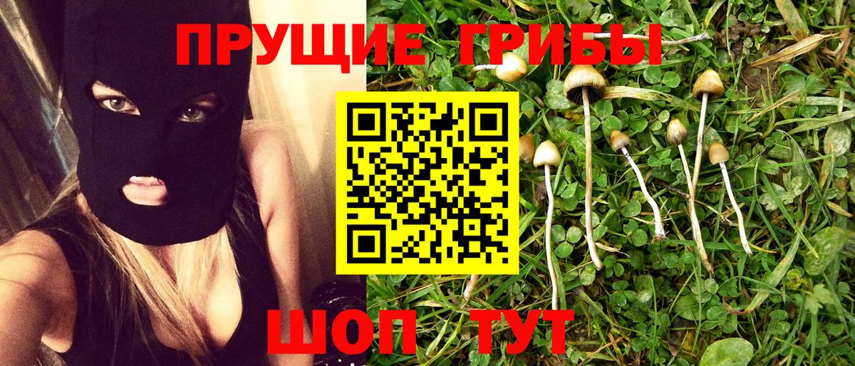 Псилоцибиновые грибы MAGIC MUSHROOMS  Галлюциногенные грибы мухоморы  Вход с VPN  Рославль 